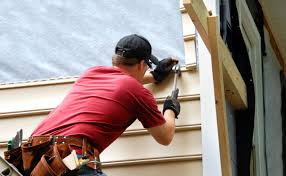 Best Custom Trim and Detailing for Siding  in Cornell, WI